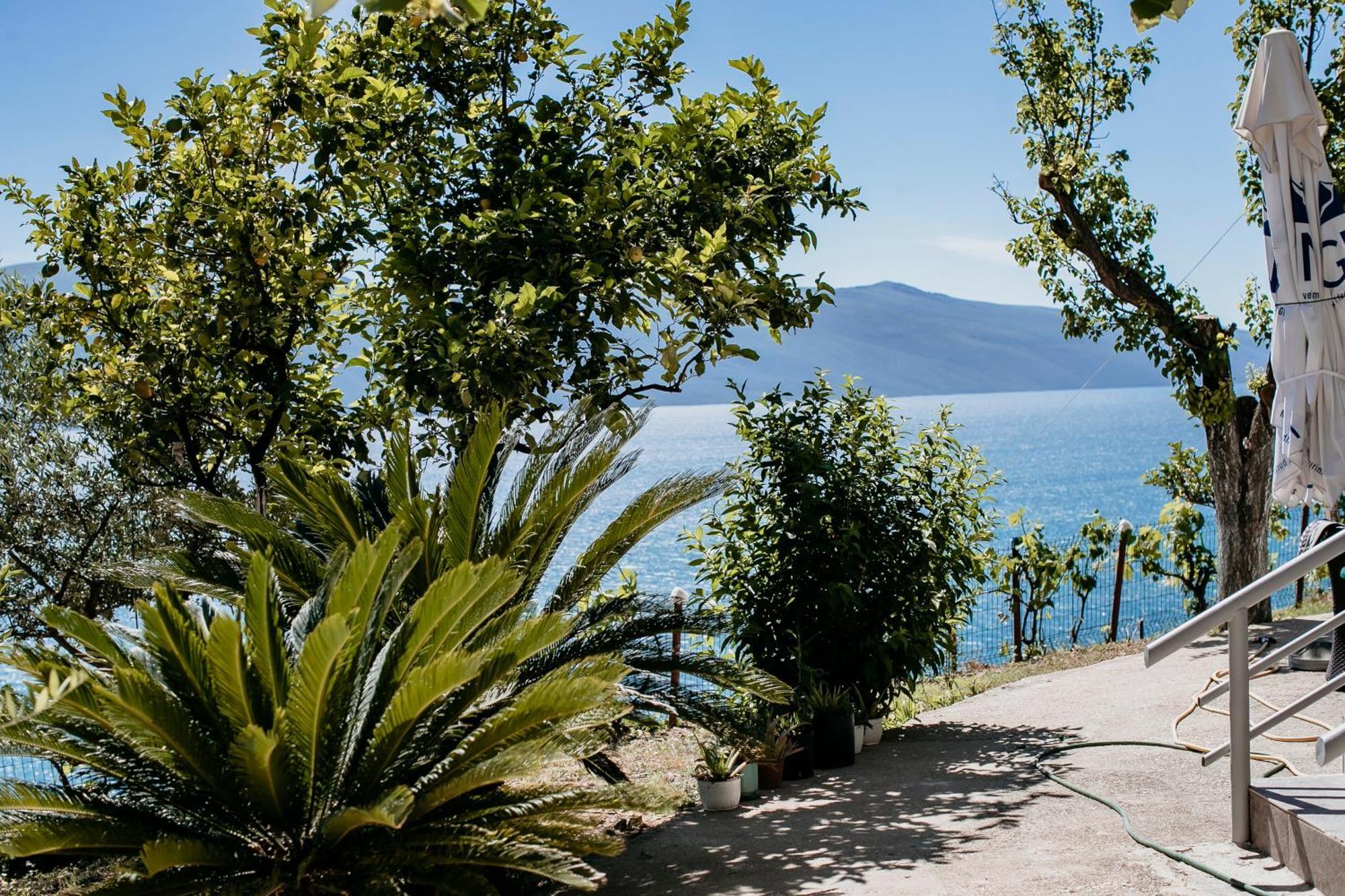 Villa Del Mar Kanine Exteriér fotografie